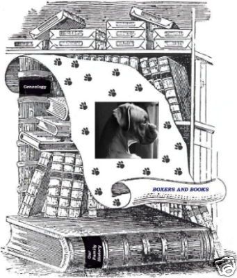 2000 Volvo S40 Base Sedan 4-Door 1.9L, US $2,650.00, image 12