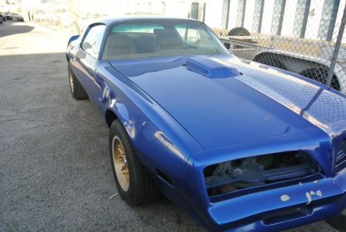 1978 pontiac firebird trans am coupe 2-door 6.6l