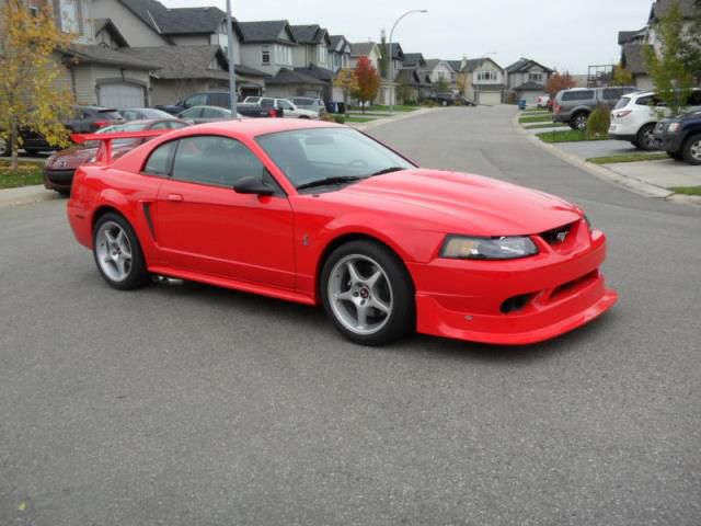 Ford mustang cobra r