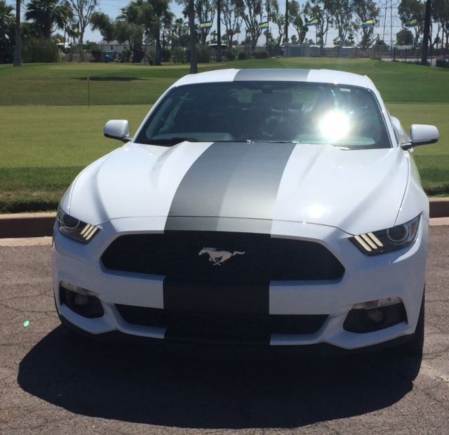 2015 ford mustang