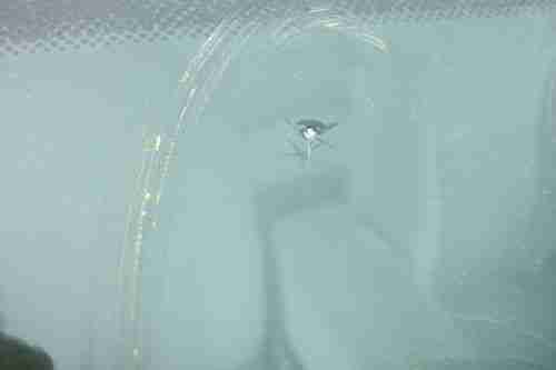 2007 Chevrolet Impala LS 4 Door Sedan, image 18