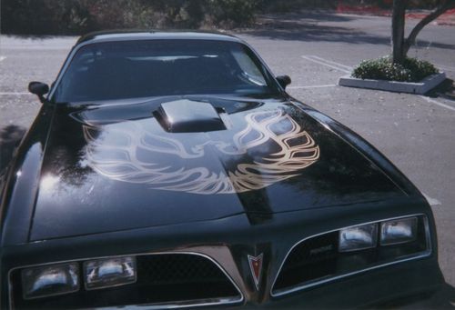 1978 trans am all original