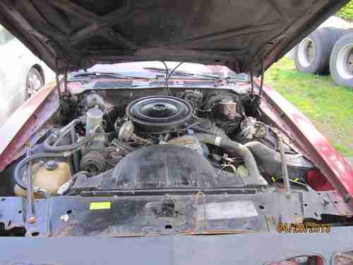 1979 Pontiac Firebird Formula Coupe 2-Door 4.9L, image 3