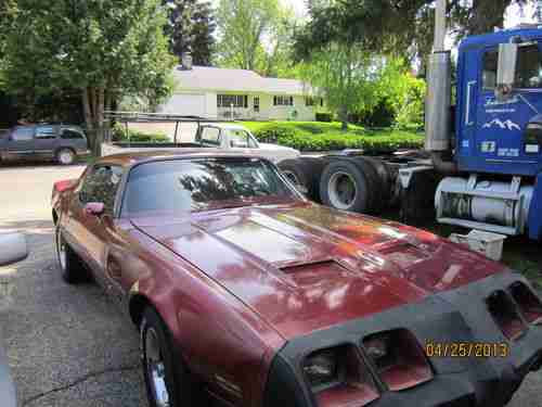 1979 Pontiac Firebird Formula Coupe 2-Door 4.9L, image 6