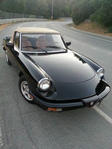 1988 alfa romeo spider veloce