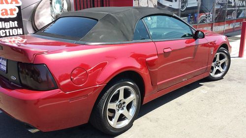 2003 Mustang Cobra, image 3