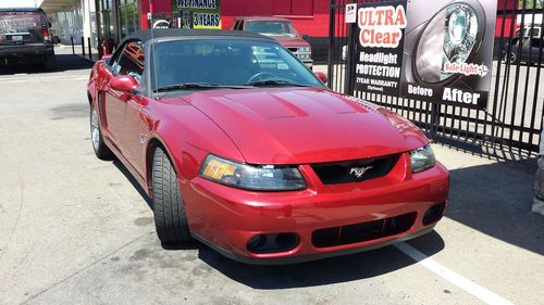 2003 Mustang Cobra, image 4