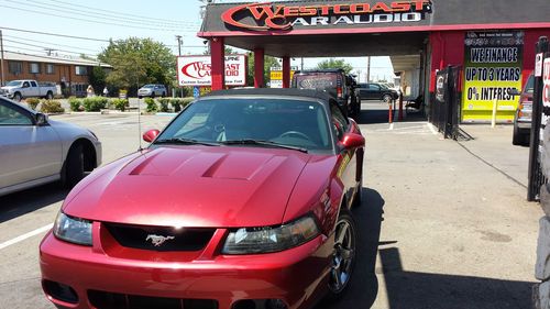 2003 Mustang Cobra, image 6
