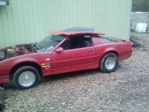 1987 pontiac trans am gta