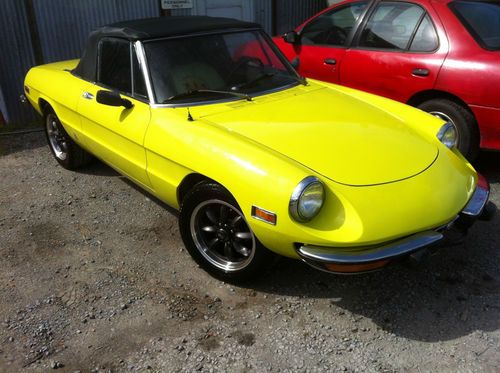 Vintage alfa spider