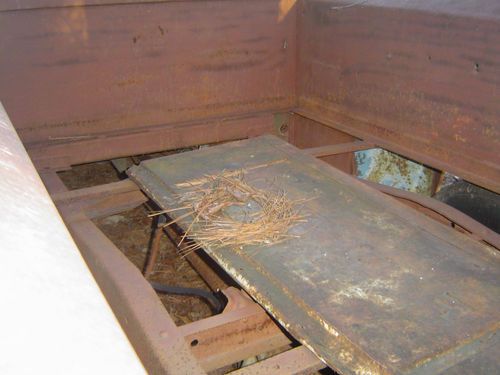 1956 Ford Pickup, image 4