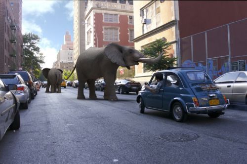 1970 Fiat 500L beautiful customizations, US $13,000.00, image 4