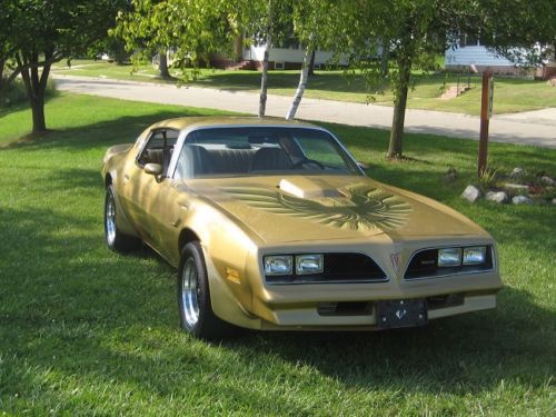 1978 pontiac firebird trans am coupe 2-door 6.6l