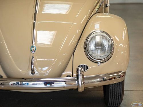 1953 Volkswagen Beetle Oval Window, US $37,125.00, image 12
