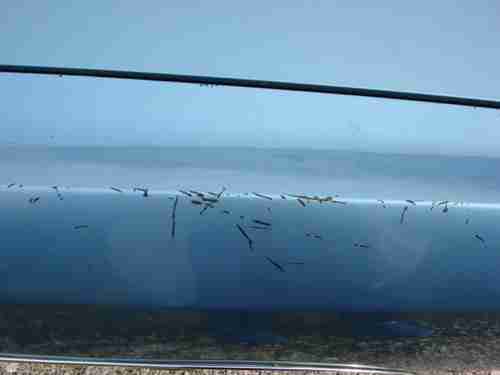 1972 Chevrolet Impala Sports Sedan 4dr 58K MILES Triple Blue Beauty- Must See!!, image 16