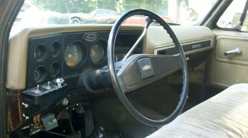 1979 CHEVY PLOW TRUCK.C10, image 3