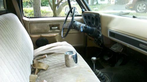 1979 CHEVY PLOW TRUCK.C10, image 8