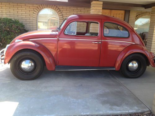 1964 beetle/1 original celebrity owner/original condition/trailer/mini bike incl