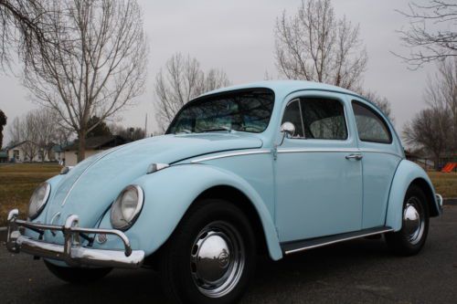 1963 vw beetle restored high quality car! must see!!