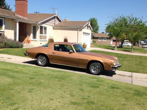 1975 camaro unmolested original paint &amp; interior