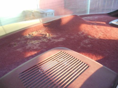 Caprice 1994 LT1, US $1,300.00, image 7