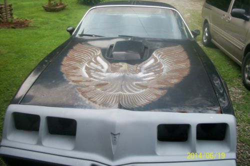 Special edition trans am  black with gold trim snowflake shaker 4.9