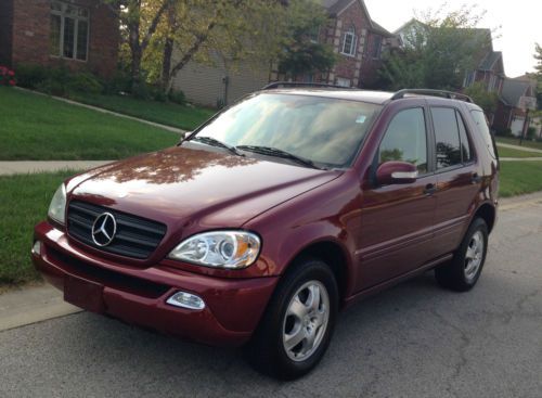 2002 Mercedes-Benz ML320 (NO RESERVE), image 3