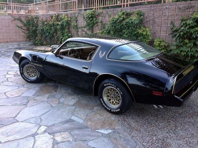 1979 - pontiac trans am