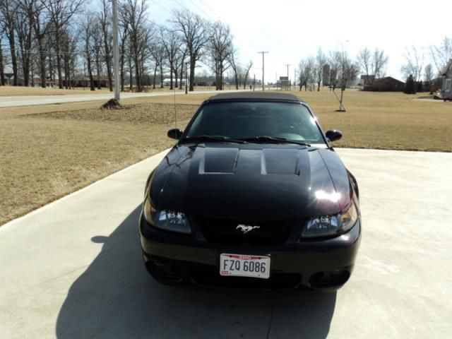 Ford mustang svt cobra convertible 2-door