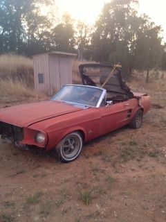 1967 convertible mustang