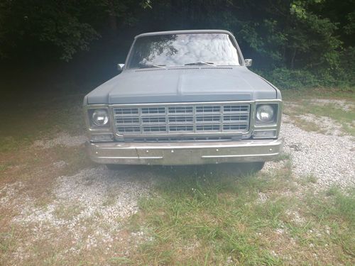 1979 chevrolet 1500 truck