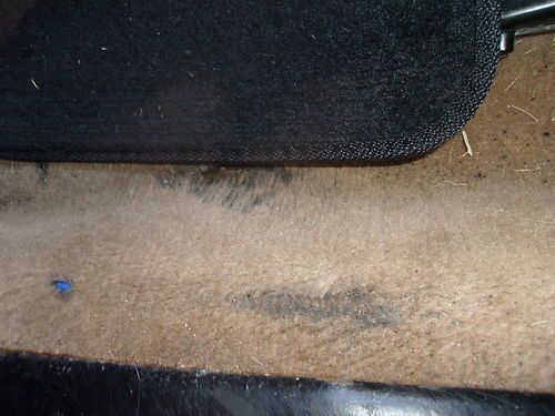 1988 Saab 900 Turbo Convertible 2-Door 2.0L, US $2,800.00, image 22