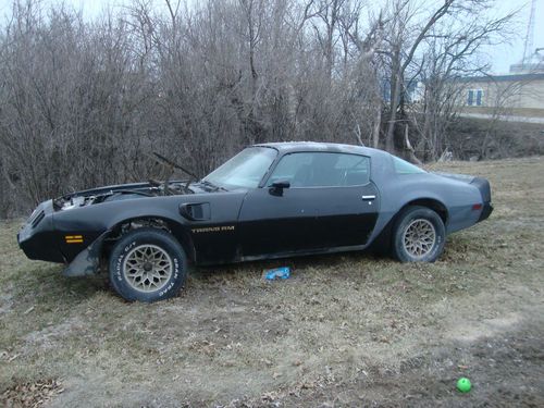 1979 pontiac firebird trans am