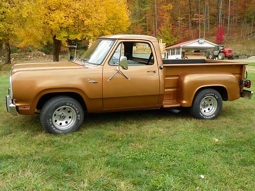 1979 dodge custom d150