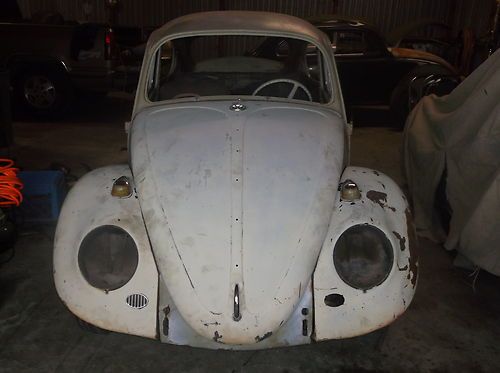 1965 vw beetle