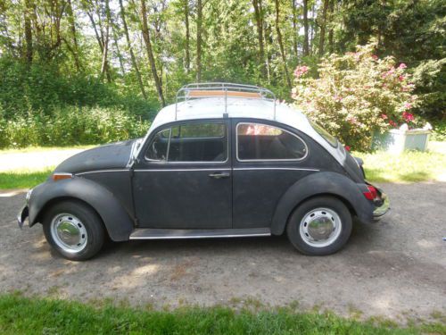 1970 vw bug restored