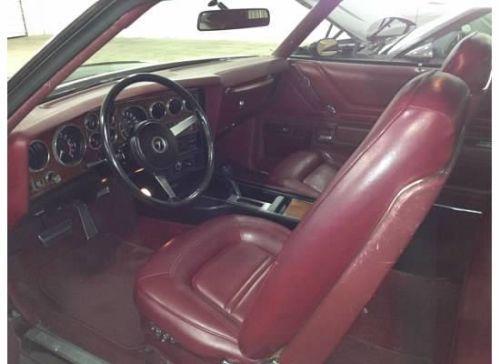 1973 Pontiac Grand Am, image 9