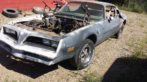 1977 trans am (no reserve)