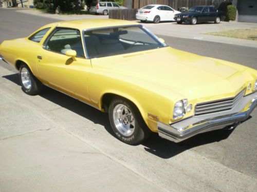 1973 buick century/regal