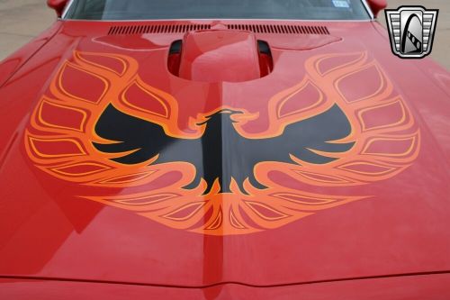 1975 Pontiac Firebird Trans Am, US $34,000.00, image 5