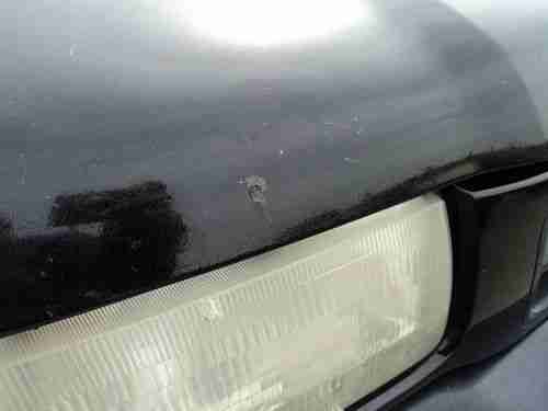 1998 Honda Passport LX Sport Utility 4-Door 3.2L, NO RESERVE, image 7