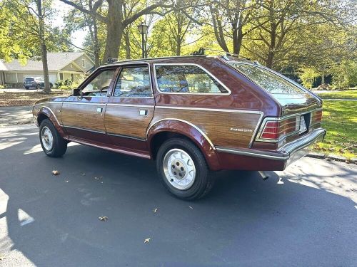 1984 AMC Other, US $16,995.00, image 2