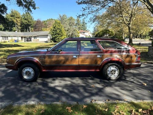 1984 AMC Other, US $16,995.00, image 4