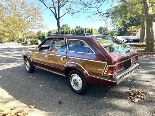 1984 AMC Other, US $16,995.00, image 23