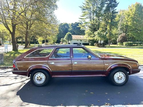 1984 AMC Other, US $16,995.00, image 27