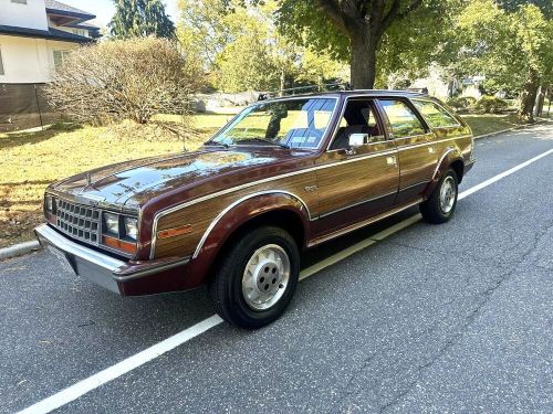 1984 AMC Other, US $16,995.00, image 28