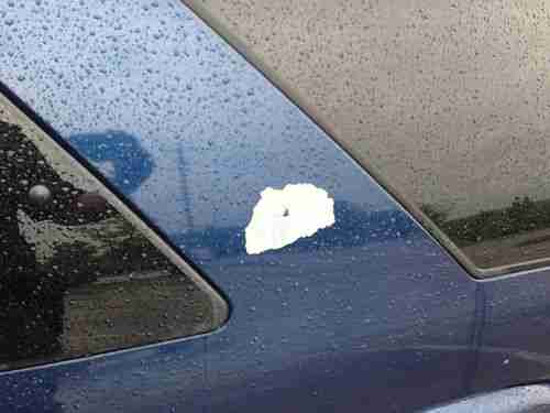 2003 Chevrolet Blazer Xtreme Sport Utility 2-Door 4.3L NO RESERVE, image 2