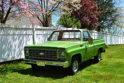 1975 Chevrolet C-10 truck, image 3