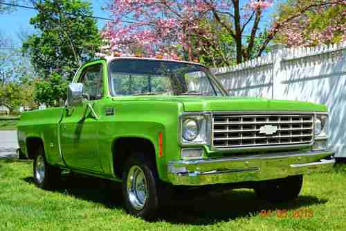 1975 Chevrolet C-10 truck, image 9