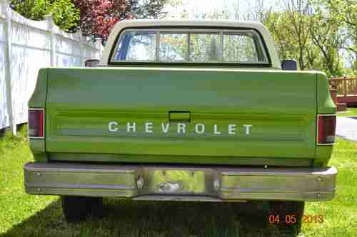1975 Chevrolet C-10 truck, image 11